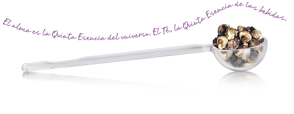 QUINTA-ESENCIA-HOME2b_03